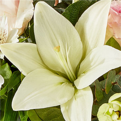 Ballet Slippers Bouquet –  Magic Sun Flowers, Los Angeles CA