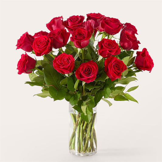 The One Red Rose Bouquet –  Magic Sun Flowers, Los Angeles CA