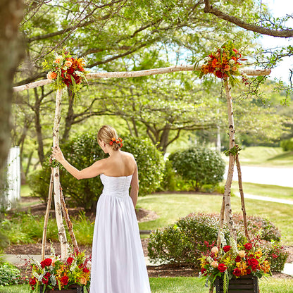 Arbor of Love Archway –  Magic Sun Flowers, Los Angeles CA