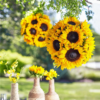 Sublime Garden Hanging Arrangement –  Magic Sun Flowers, Los Angeles CA