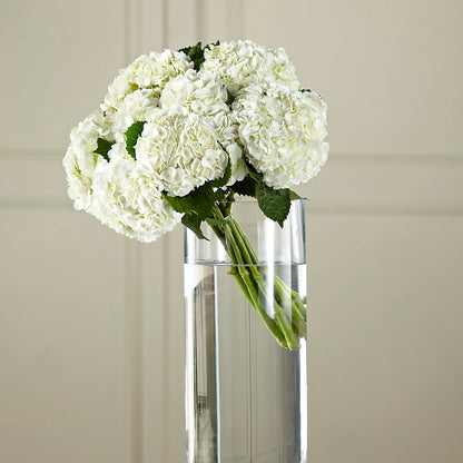 White Hydrangea Hand-Tied Bouquet –  Magic Sun Flowers, Los Angeles CA